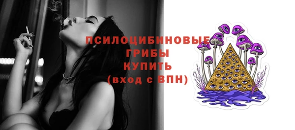 тгк Вяземский