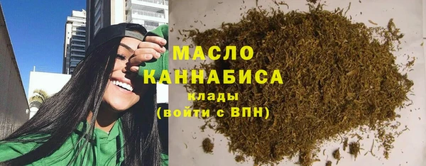 тгк Вяземский
