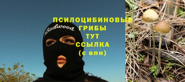 тгк Вяземский